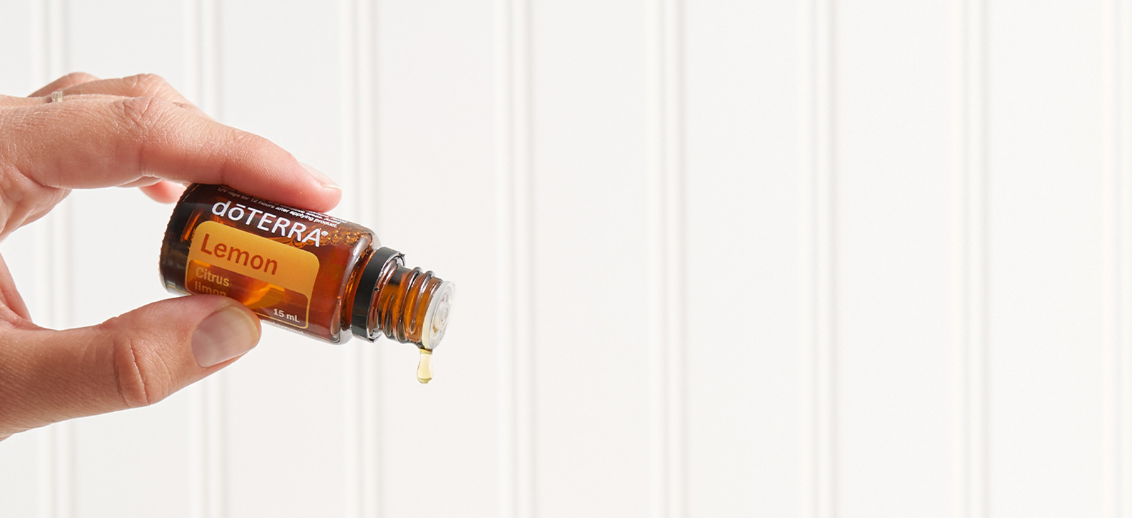 Citrus fruits, the natural origins of uplifting essential oils