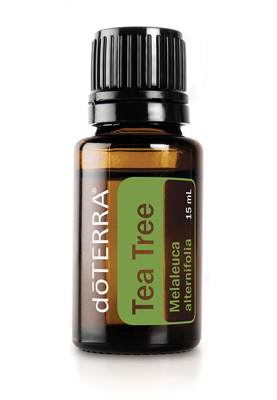 Tea Tree essential oil